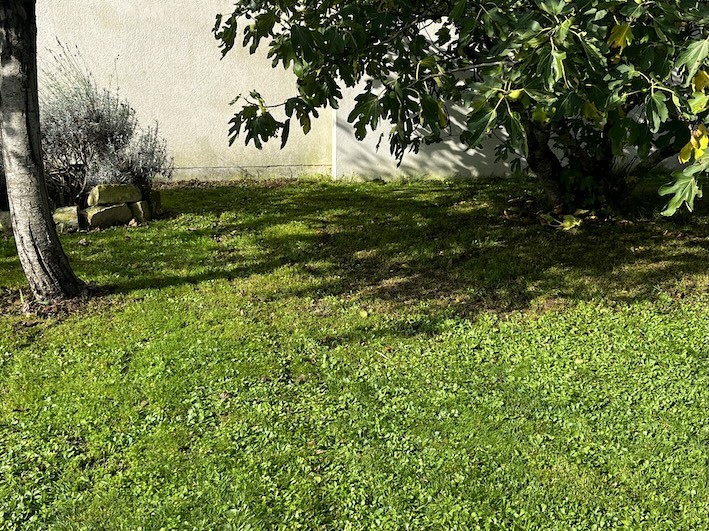 Après tonte